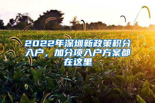 2022年深圳新政策积分入户，加分项入户方案都在这里