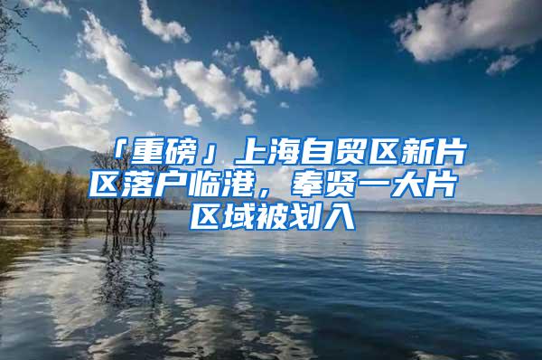 「重磅」上海自贸区新片区落户临港，奉贤一大片区域被划入