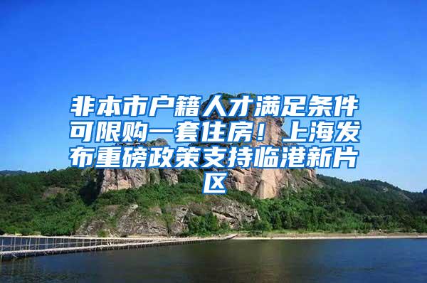 非本市户籍人才满足条件可限购一套住房！上海发布重磅政策支持临港新片区