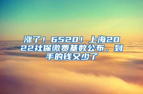 涨了！6520！上海2022社保缴费基数公布，到手的钱又少了