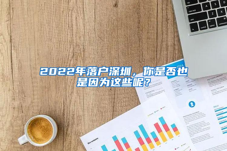 2022年落户深圳，你是否也是因为这些呢？
