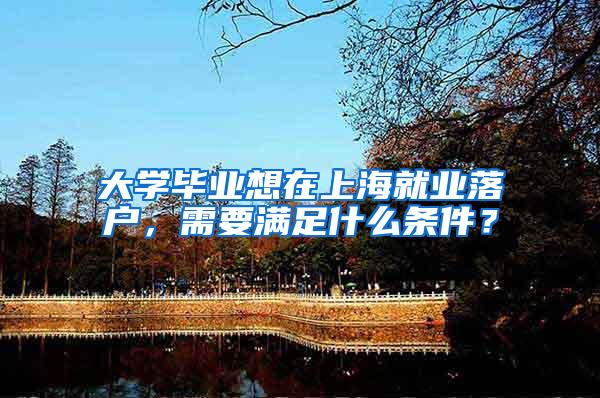 大学毕业想在上海就业落户，需要满足什么条件？