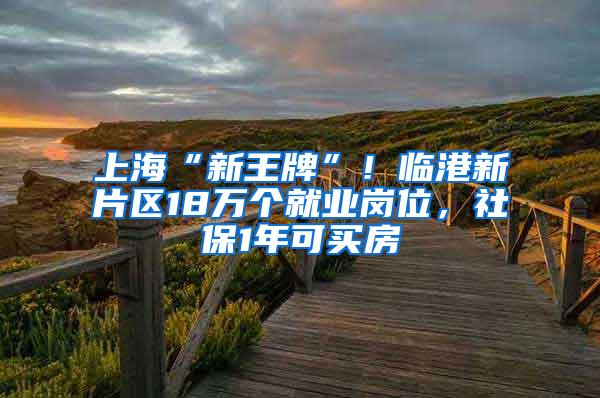 上海“新王牌”！临港新片区18万个就业岗位，社保1年可买房
