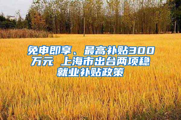 免申即享、最高补贴300万元 上海市出台两项稳就业补贴政策