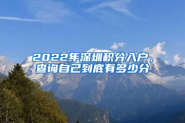 2022年深圳积分入户，查询自己到底有多少分