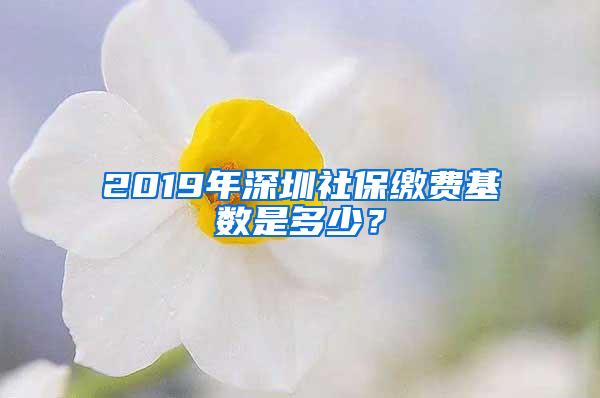 2019年深圳社保缴费基数是多少？