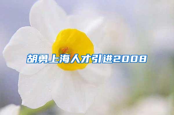 胡勇上海人才引进2008