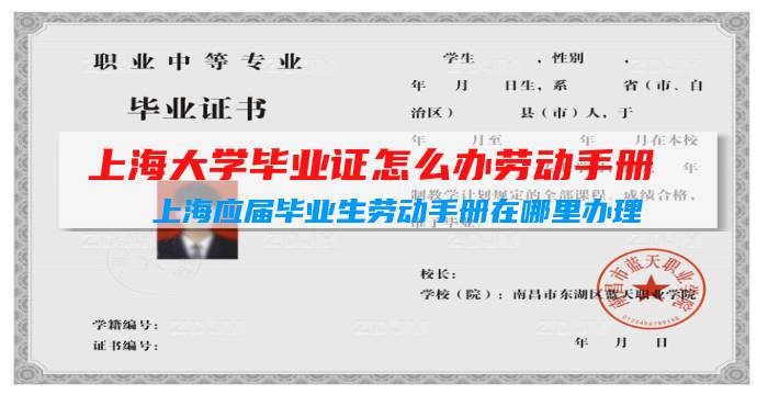 上海大学毕业证怎么办劳动手册（上海应届毕业生劳动手册在哪里办理）插图