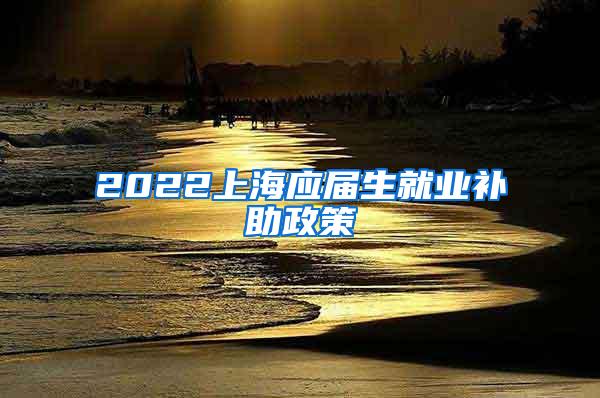 2022上海应届生就业补助政策