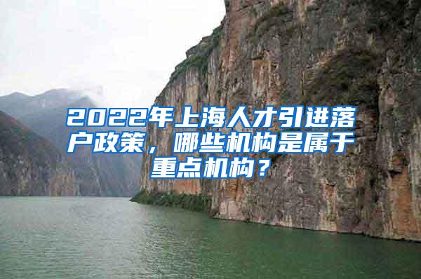 2022年上海人才引进落户政策，哪些机构是属于重点机构？