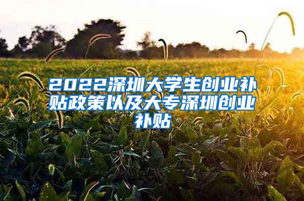 2022深圳大学生创业补贴政策以及大专深圳创业补贴