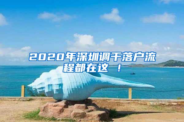 2020年深圳调干落户流程都在这 ！