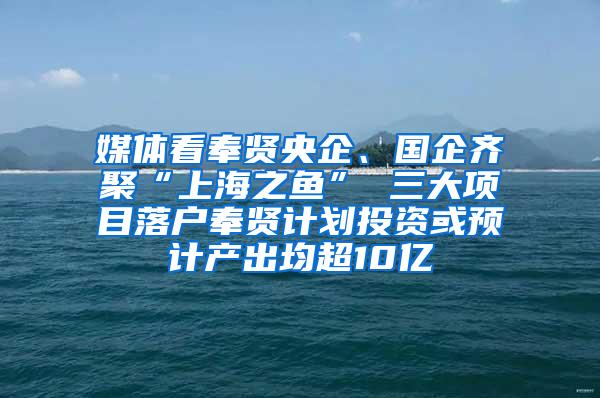 媒体看奉贤央企、国企齐聚“上海之鱼” 三大项目落户奉贤计划投资或预计产出均超10亿