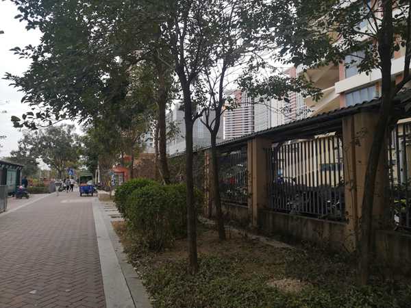深圳的集体户口可以迁出吗