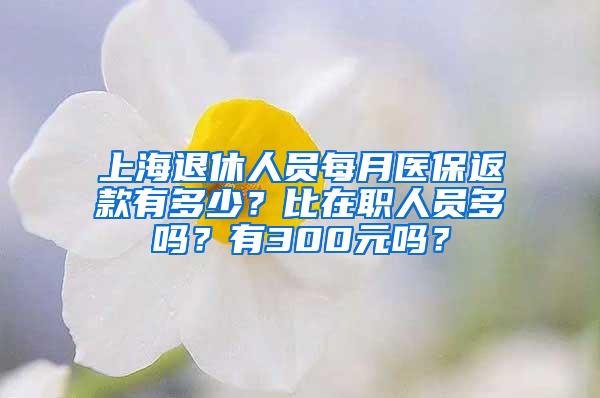 上海退休人员每月医保返款有多少？比在职人员多吗？有300元吗？