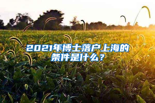 2021年博士落户上海的条件是什么？