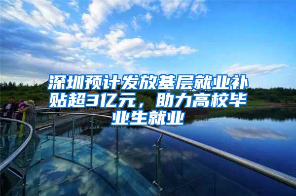 深圳预计发放基层就业补贴超3亿元，助力高校毕业生就业