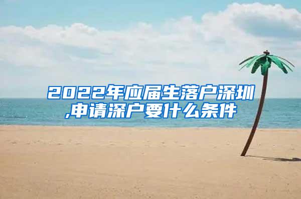 2022年应届生落户深圳,申请深户要什么条件
