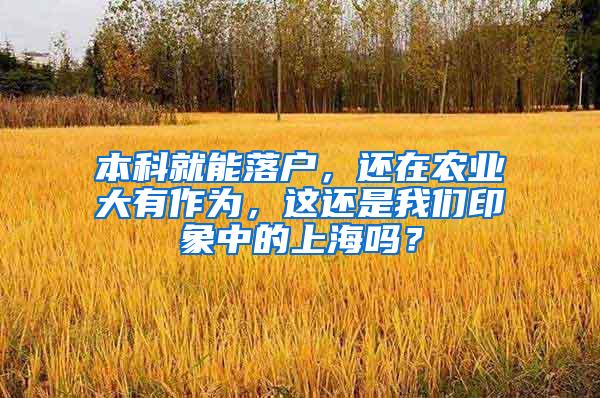 本科就能落户，还在农业大有作为，这还是我们印象中的上海吗？