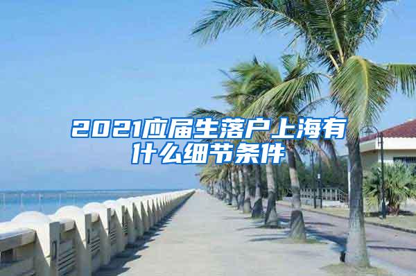 2021应届生落户上海有什么细节条件
