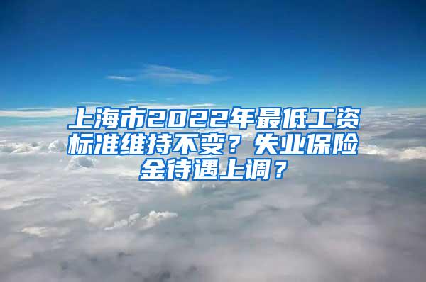上海市2022年最低工资标准维持不变？失业保险金待遇上调？