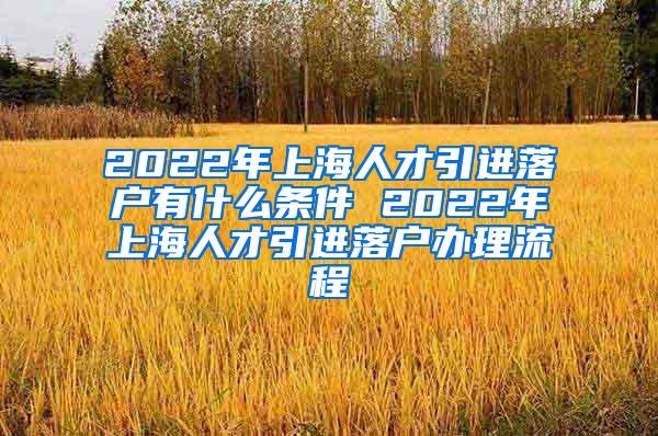 2022年上海人才引进落户有什么条件 2022年上海人才引进落户办理流程