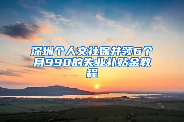 深圳个人交社保并领6个月990的失业补贴金教程
