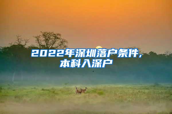 2022年深圳落户条件,本科入深户