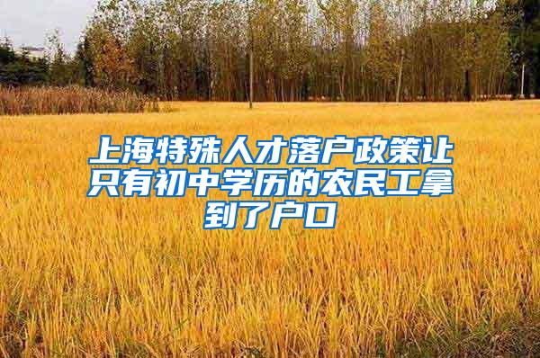 上海特殊人才落户政策让只有初中学历的农民工拿到了户口