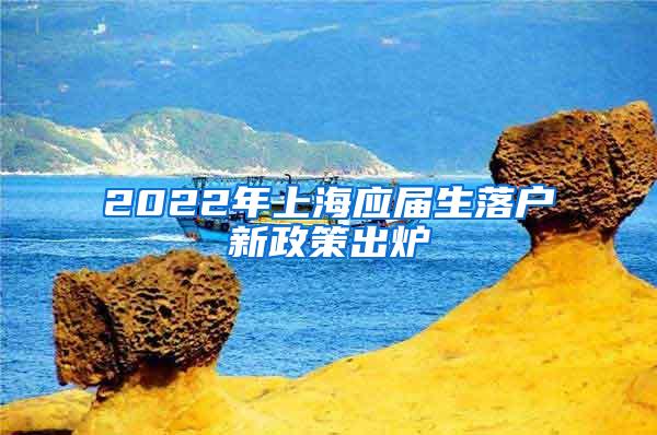 2022年上海应届生落户新政策出炉