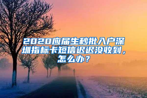 2020应届生秒批入户深圳指标卡短信迟迟没收到，怎么办？