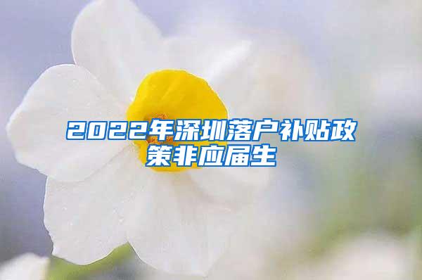 2022年深圳落户补贴政策非应届生