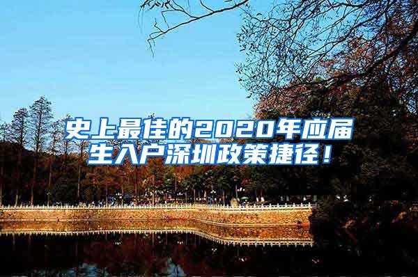 史上最佳的2020年应届生入户深圳政策捷径！