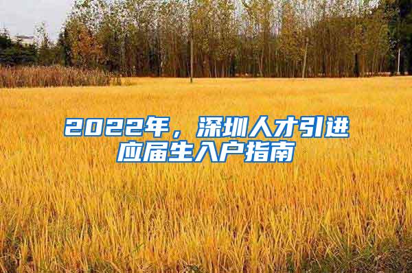 2022年，深圳人才引进应届生入户指南