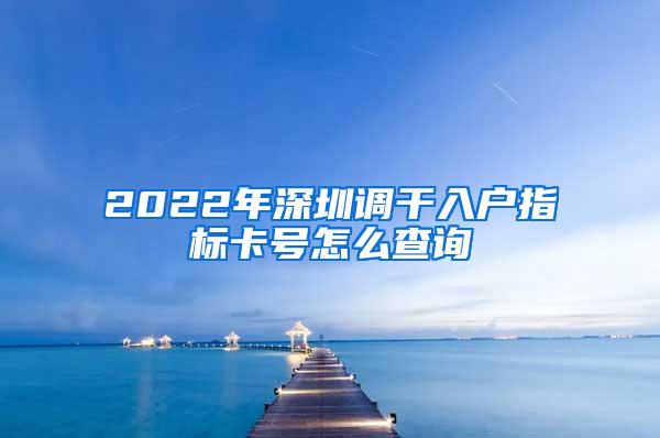 2022年深圳调干入户指标卡号怎么查询