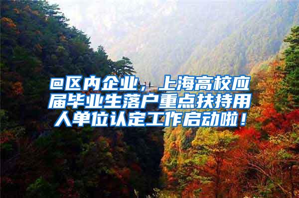 @区内企业，上海高校应届毕业生落户重点扶持用人单位认定工作启动啦！