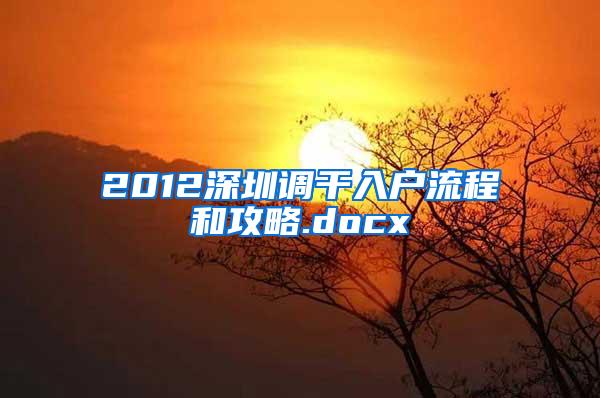 2012深圳调干入户流程和攻略.docx