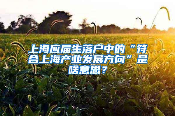 上海应届生落户中的“符合上海产业发展方向”是啥意思？