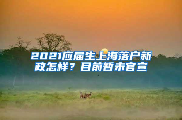2021应届生上海落户新政怎样？目前暂未官宣