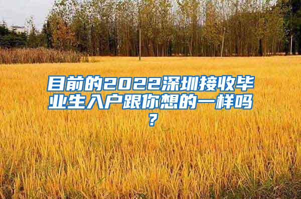 目前的2022深圳接收毕业生入户跟你想的一样吗？