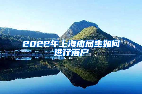 2022年上海应届生如何进行落户