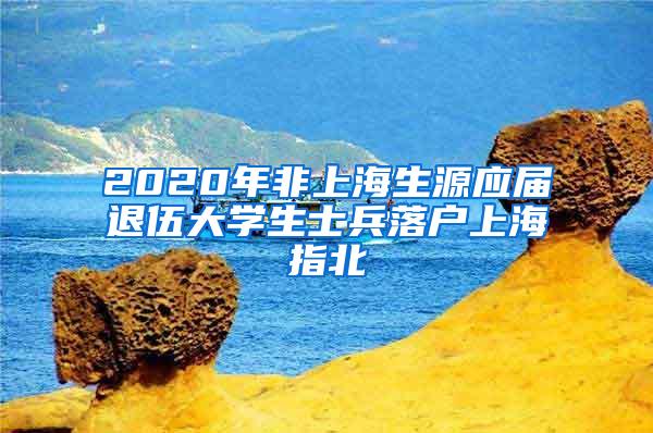 2020年非上海生源应届退伍大学生士兵落户上海指北