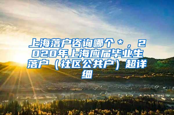 上海落户咨询哪个＊，2020年上海应届毕业生落户（社区公共户）超详细