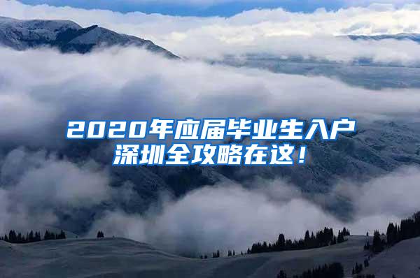 2020年应届毕业生入户深圳全攻略在这！