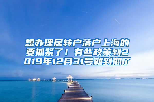 想办理居转户落户上海的要抓紧了！有些政策到2019年12月31号就到期了
