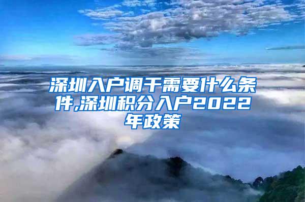 深圳入户调干需要什么条件,深圳积分入户2022年政策