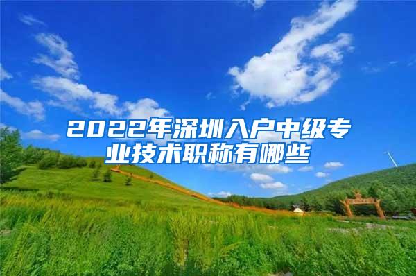 2022年深圳入户中级专业技术职称有哪些