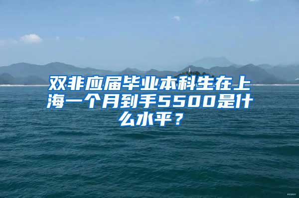 双非应届毕业本科生在上海一个月到手5500是什么水平？