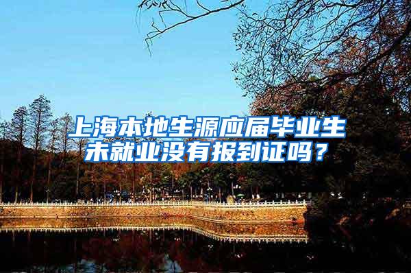 上海本地生源应届毕业生未就业没有报到证吗？