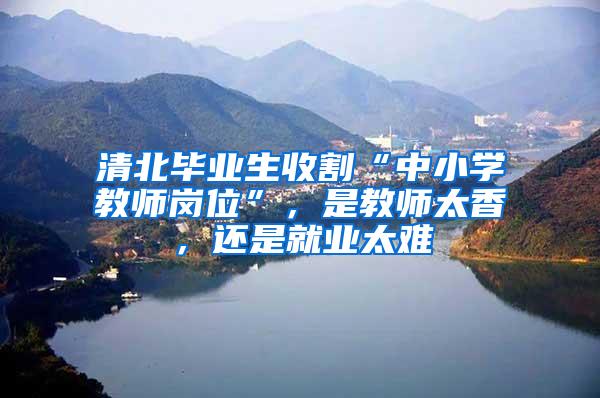 清北毕业生收割“中小学教师岗位”，是教师太香，还是就业太难
